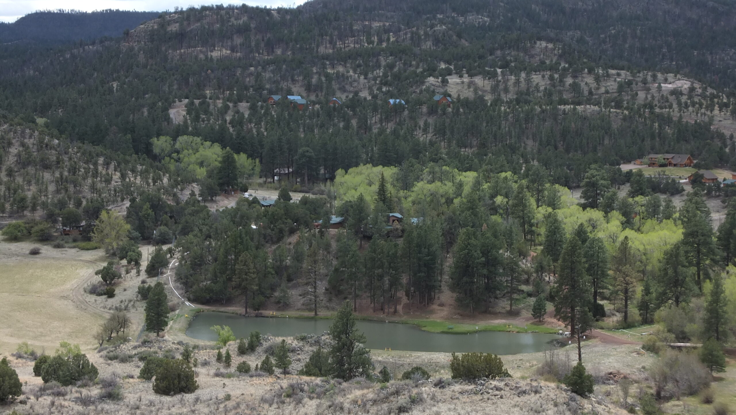 Ranch