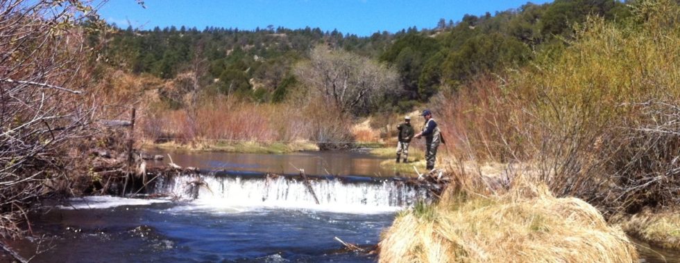 Fly Fish Arizona and Beyond